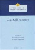 Glial Cell Function