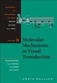 Molecular Mechanisms in Visual Transduction