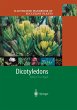 Illustrated Handbook of Succulent... - Bild 1