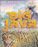 Big Java