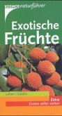 Exotische Früchte