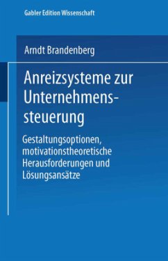 Anreizsysteme zur Unternehmenssteuerung - Brandenberg, Arndt