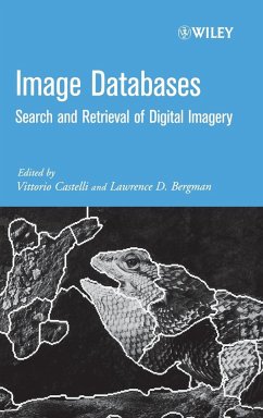 Image Databases - Castelli, Vittorio / Bergman, Lawrence D. (Hgg.)