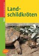 Landschildkröten - Bild 1