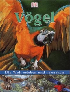 Vögel