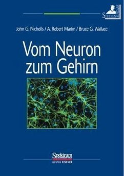 Cover Vom Neuron zum Gehirn