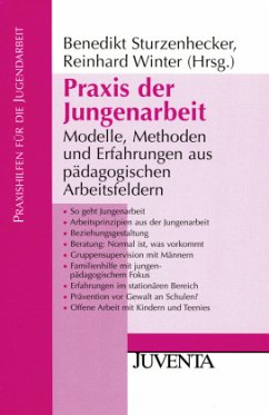 Praxis der Jungenarbeit - Sturzenhecker, Benedikt / Winter, Reinhard (Hgg.)