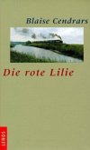 Die rote Lilie