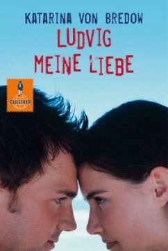 Ludvig meine Liebe - Bredow, Katarina von