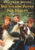 Die wilden Ponys von Dublin