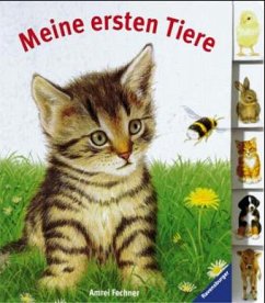 Meine ersten Tiere - Fechner, Amrei