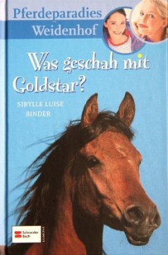 Was geschah mit Goldstar? / Pferdeparadies Weidenhof Bd.4 - Binder, Sibylle L.