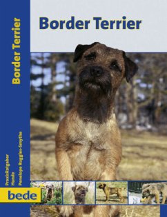 Border Terrier - Ruggles-Smythe, Penelope