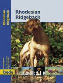 PraxisRatgeber Rhodesian Ridgeback