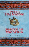 Smoke in the Wind (Sister Fidelma Mysteries Book 11)