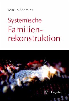 Systemische Familienrekonstruktion - Schmidt, Martin