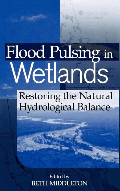 Flood Pulsing in Wetlands