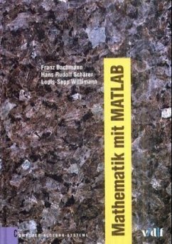 Mathematik mit MATLAB, m. CD-ROM - Bachmann, Franz; Schärer, Hans R.; Willimann, Louis-Sepp