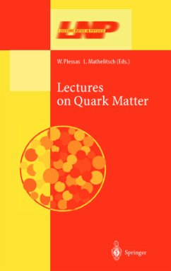 Lectures on Quark Matter - Plessas, Willibald / Mathelitsch, Leopold (eds.)