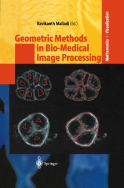 Geometric Methods in Bio-Medical Image Processing - Malladi, Ravikanth (ed.)