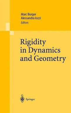 Rigidity in Dynamics and Geometry - Burger, Marc / Iozzi, Alessandra (eds.)