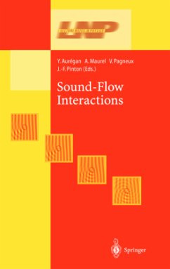 Sound-Flow Interactions - Auregan, Yves / Maurel, Agnes / Pagneux, Vincent / Pinton, Jean-Francois (eds.)