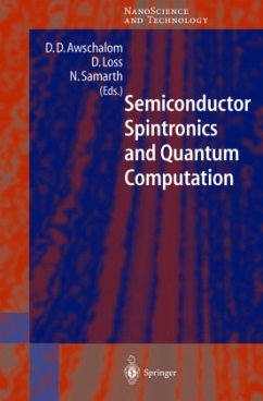 Semiconductor Spintronics and Quantum Computation - Awschalom, David D. / Samarth, Nitin / Loss, Daniel (eds.)