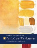 Das 1x1 der Wandlasuren