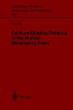 Calcium-Binding Proteins in the Human Developing Brain - Ulfig, Norbert