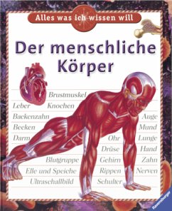 Der menschliche Körper