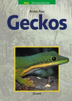 Geckos - Falk, Astrid