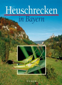 Heuschrecken in Bayern - Schlumprecht, Helmut; Waeber, Georg