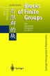 Blocks of Finite Groups - Bild 1