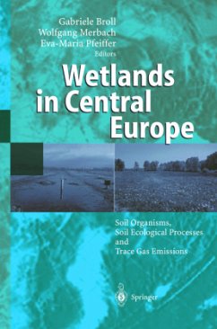 Wetlands in Central Europe - Broll, Gabriele / Merbach, Wolfgang / Pfeiffer, Eva-Maria (eds.)