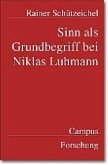 Sinn als Grundbegriff bei Niklas Luhmann