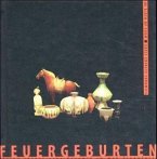 Feuergeburten, m. CD-ROM