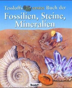 Tessloffs erstes Buch der Fossilien, Steine, Mineralien