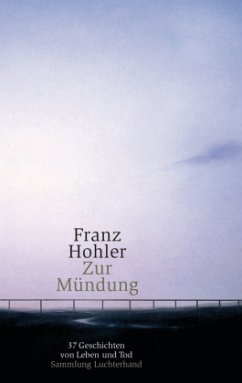 Zur Mündung - Hohler, Franz