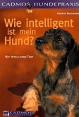 Wie intelligent ist mein Hund?