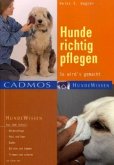 Hunde richtig pflegen