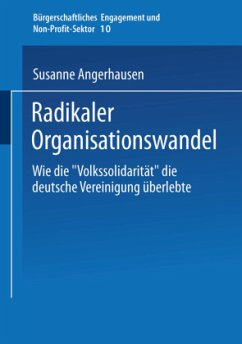 Radikaler Organisationswandel - Angerhausen, Susanne