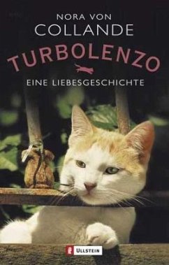 Turbolenzo - Collande, Nora von