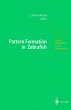 Pattern Formation in Zebrafish - Bild 1