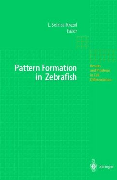 Pattern Formation in Zebrafish - Solnica-Krezel, Lilianna (ed.)