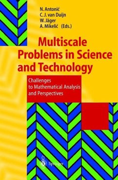 Multiscale Problems in Science and Technology - Antonic, Nenad