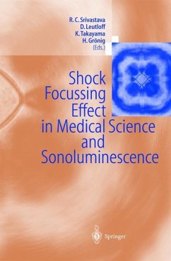 Shock Focussing Effect in Medical Science and Sonoluminescence - Srivastava, Ramesh C.