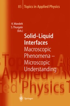 Solid-Liquid Interfaces - Wandelt, Klaus
