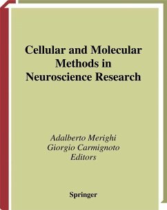 Cellular and Molecular Methods in Neuroscience Research - Merighi, Adalberto / Carmignoto, Giorgio (eds.)