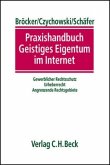 Praxishandbuch Geistiges Eigentum im Internet