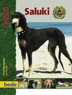 PraxisRatgeber Saluki - Schmidt, Iris